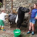 Moosbauerhof * バド クラインキルヒハイム