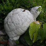 慕斯保尔霍夫公寓