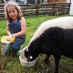 Moosbauerhof * バド クラインキルヒハイム