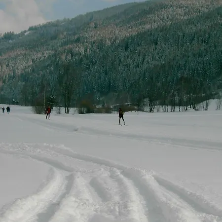 Moosbauerhof Apartment *