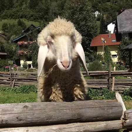 아파트 Moosbauerhof *